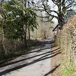 Zum Alten Forsthaus アパート