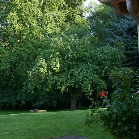 Zum Alten Forsthaus Appartement *